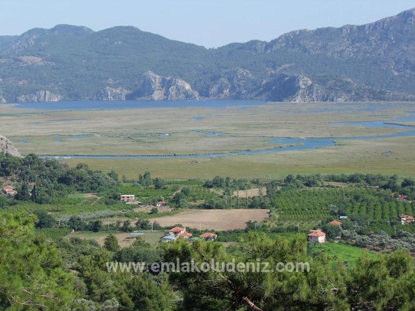 Köyceğiz Çandır'da 19.334m2 Satılık Tarla