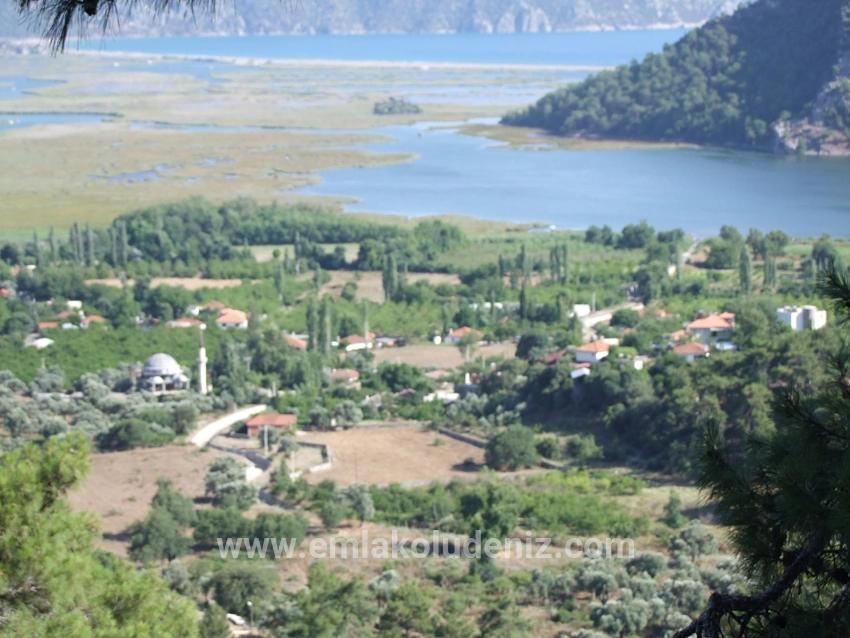 Köyceğiz Çandır'da 19.334m2 Satılık Tarla