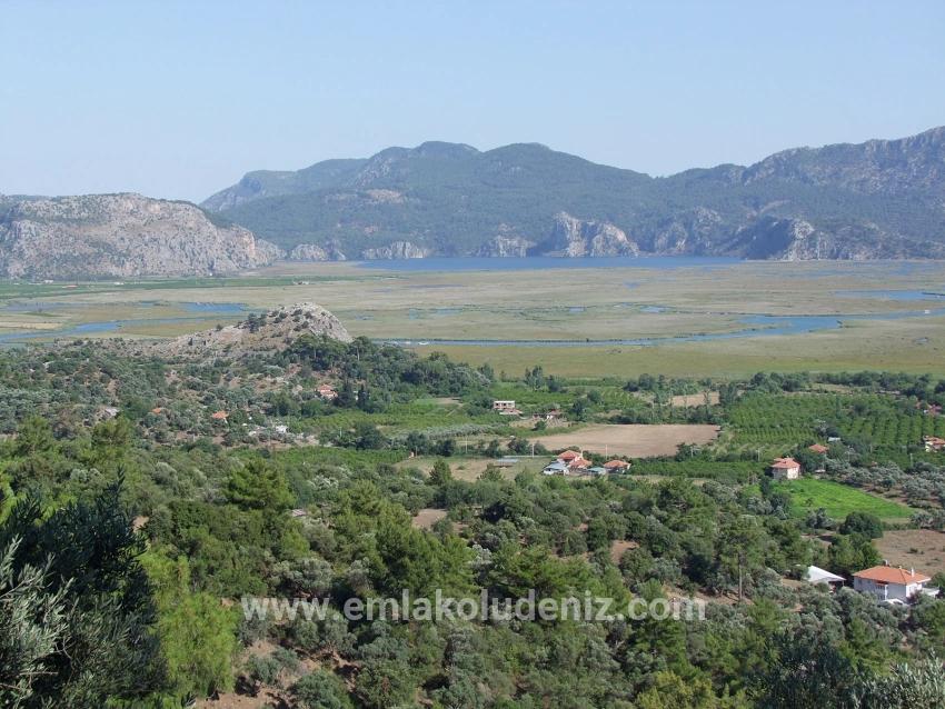 Köyceğiz Çandır'da 19.334m2 Satılık Tarla