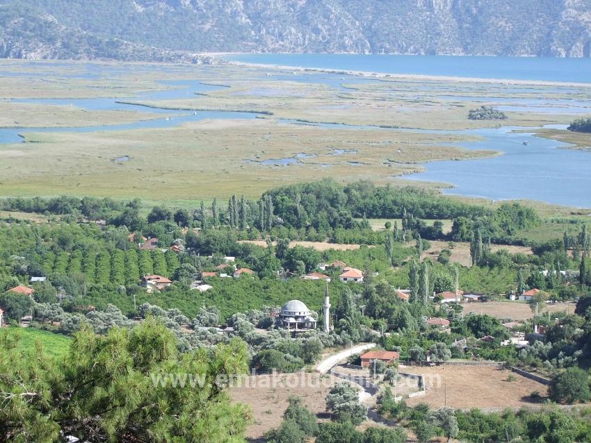 Köyceğiz Çandır'da 19.334m2 Satılık Tarla