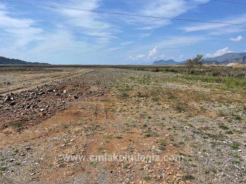 Dalyan İztuzu Plaj Yoluna Sıfır 19.600m2 Satılık Tarla