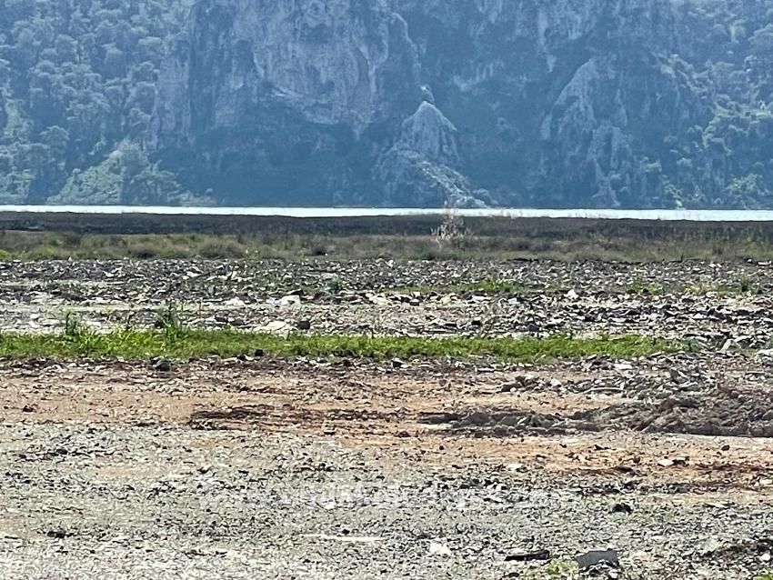 Dalyan İztuzu Plaj Yoluna Sıfır 19.600m2 Satılık Tarla