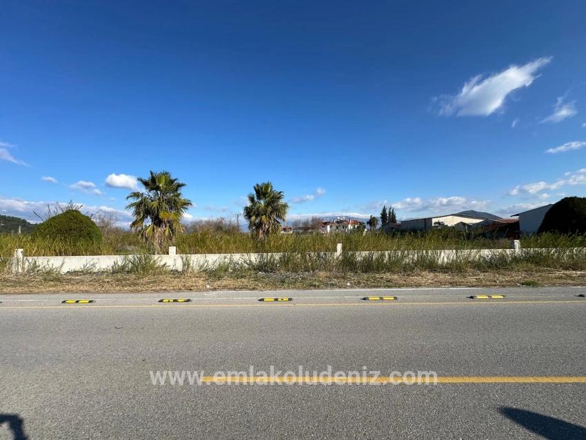 Dalyan Anayola Sıfır 5.111m2 Satılık Ticari-konut Arsası