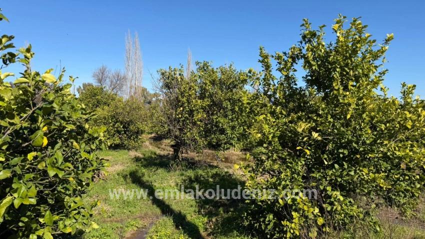 Okçular Marmarlı'da 2.218m2 Satılık Arsa