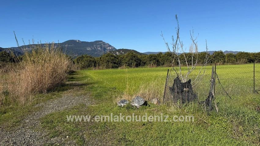 Okçular'da 509m2 Satılık Arsa
