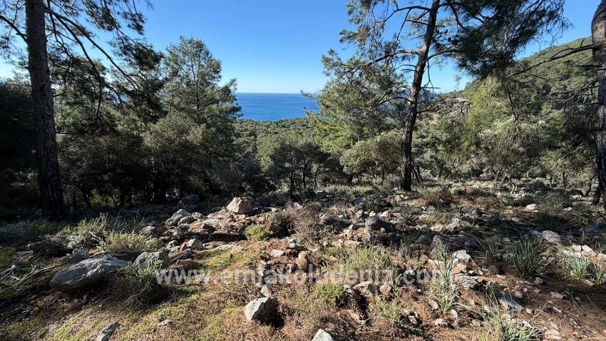 Köyceğiz Çandır Mah. Satılık Tarla - Konut İmar Durumlu - 5.715 m²