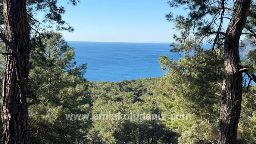 Köyceğiz Çandır Mah. Satılık Tarla - Konut İmar Durumlu - 5.715 m²