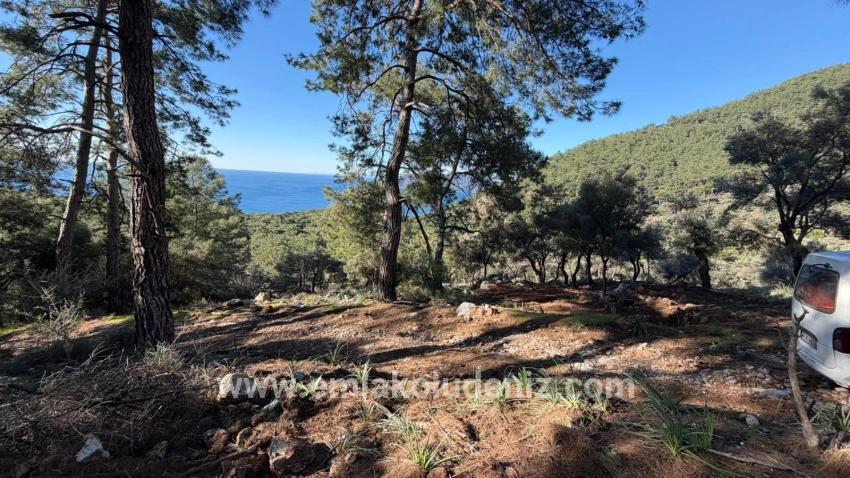 Köyceğiz Çandır Mah. Satılık Tarla - Konut İmar Durumlu - 5.715 m²