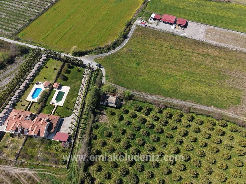 Dalyan Merkeze Yakın 17.550m2 Satılık Bağ-bahçe