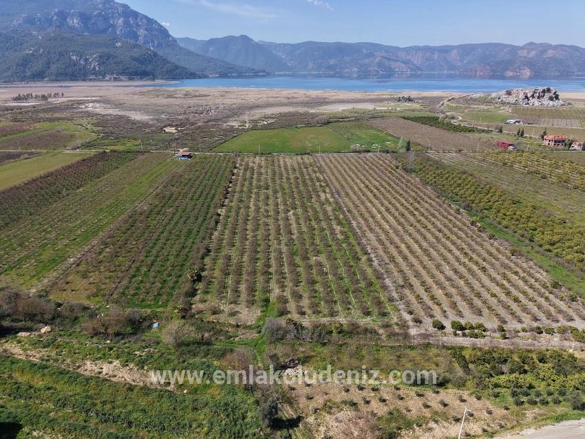 Ortaca Eskiköy Mah. Satılık Tarla - Tarla İmar Durumlu - 16.710 m²