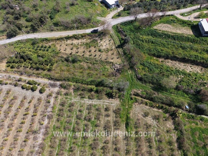 Eskiköy'de Göl Manzaralı 16.710m2 Satılık Nar Bahçesi