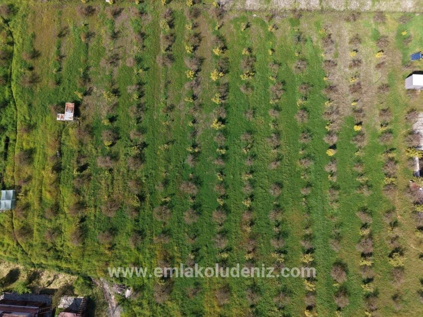 Eskiköy'de 11,000m2 Arsa İçinde Turizm Amaçlı İşletme Satılık