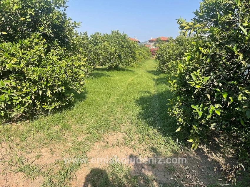 Ortaca Dalyan Mah. Satılık Arsa - Konut İmar Durumlu - 722 m²