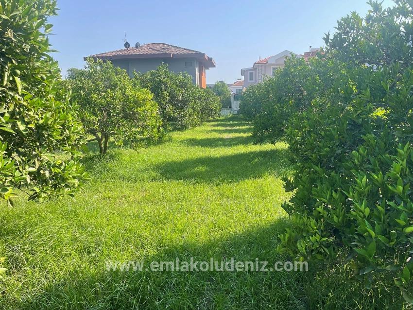 Dalyan Gülpınar'da 722m2 Satılık Arsa
