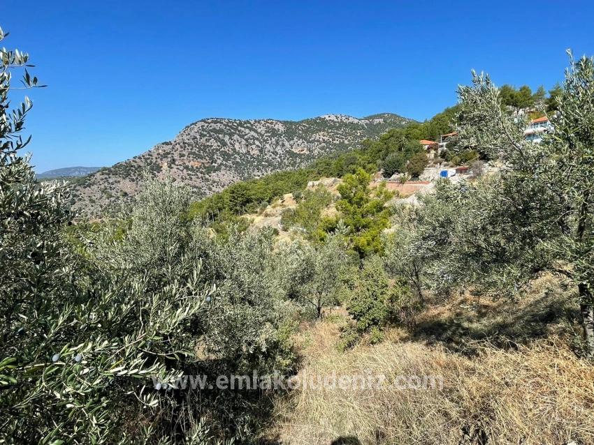 Gökbel'de Full Deniz Manzaralı 3514m2 Satılık Arsa