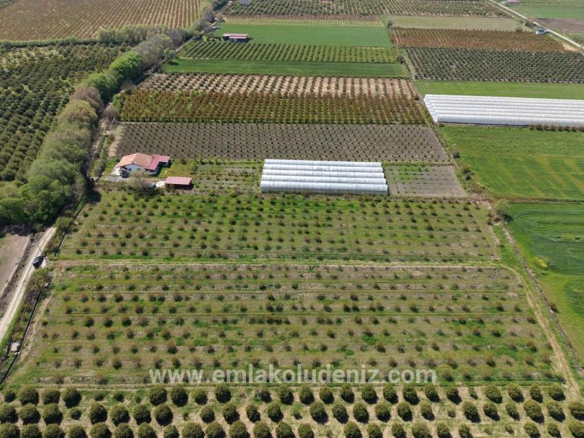 Ortaca Eskiköy Mah. Satılık Tarla - Tarla İmar Durumlu - 16.000 m²
