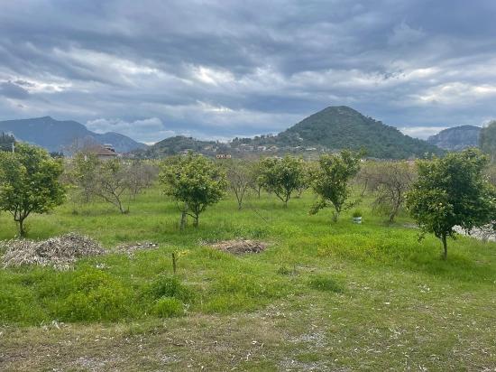Dalyan'da 11.000m2 Arsa İçerisinde Satılık Butil Otel Ve Bungalov