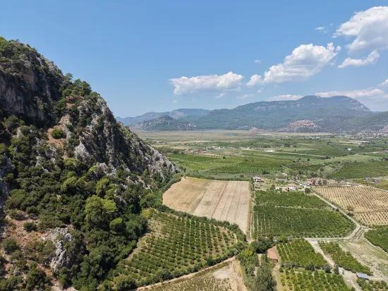 Dalyan'da 20.786m2 satılık tarla