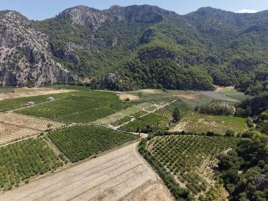 Dalyan'da 20.786m2 satılık tarla