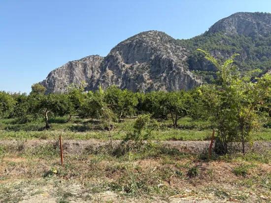 Dalyan'da 20.786m2 satılık tarla