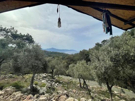 Köyceğiz Ekincik deniz manzaralı 7.000m2 2b satılık zeytinlik