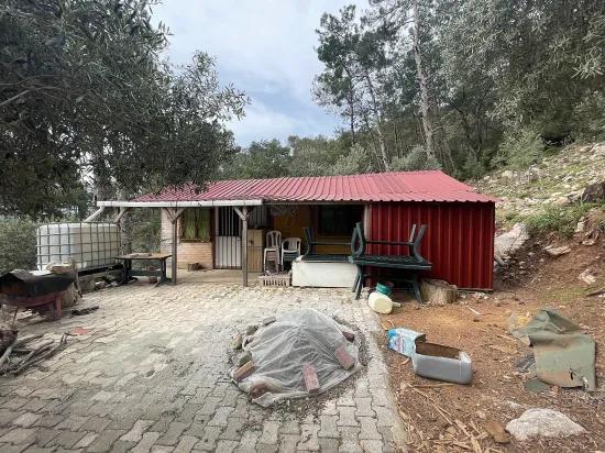 Köyceğiz Ekincik deniz manzaralı 7.000m2 2b satılık zeytinlik