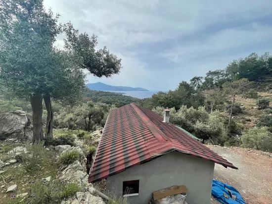 Köyceğiz Ekincik deniz manzaralı 7.000m2 2b satılık zeytinlik