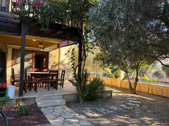 Dalyan Maraş'ta kral mezarları manzaralı 4+1 satılık villa