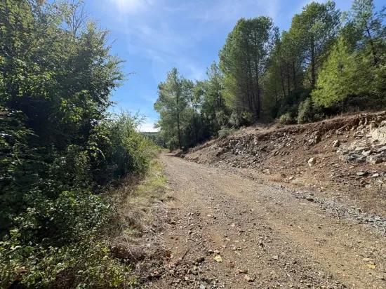 Köyceğiz Zeytinalanı'nda 10.500 m2 satılık tarla
