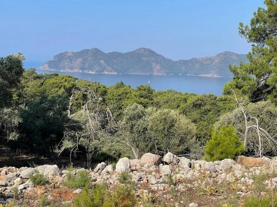 Ekincik Çandır Arasın'da Deniz Manzaralı Kelepir Emlak Satılık Arsa