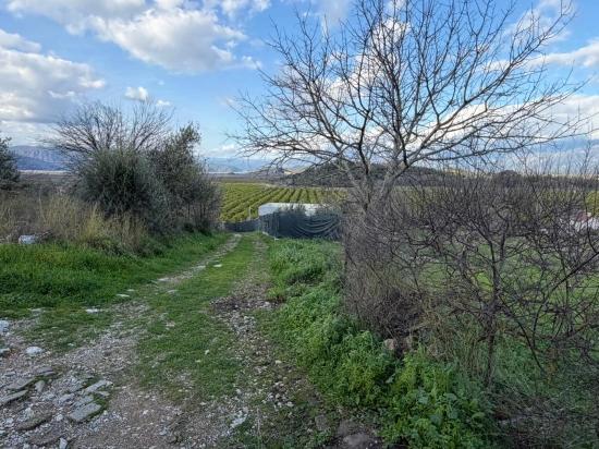 Dalyan'da Göl Manzaralı 11.230m2 Satılık Tarla