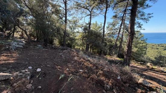 Çandır'da Full Deniz Manzaralı 5715m2 Satılık 2b Tarla