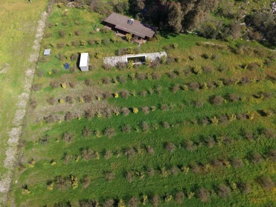 Eskiköy'de 11,000m2 Arsa İçinde Turizm Amaçlı İşletme Satılık