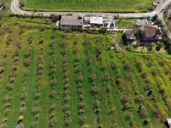 Eskiköy'de 11,000m2 Arsa İçinde Turizm Amaçlı İşletme Satılık