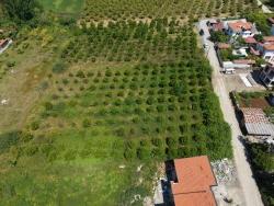 Ortaca Okçular Mah. Satılık Arsa - Konut İmar Durumlu - 1.050 m²