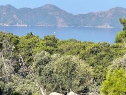 Köyceğiz Çandır Mah. Satılık Tarla - Konut İmar Durumlu - 10.481 m²