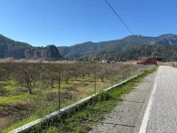 Ortaca Dalyan Mah. Satılık Arsa - Konut İmar Durumlu - 5.985 m²
