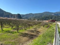 Ortaca Dalyan Mah. Satılık Arsa - Konut İmar Durumlu - 5.985 m²