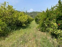 Ortaca Gökbel Mah. Satılık Tarla - Konut İmar Durumlu - 7.800 m²