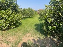 Ortaca Dalyan Mah. Satılık Arsa - Konut İmar Durumlu - 722 m²