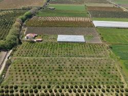 Ortaca Eskiköy Mah. Satılık Tarla - Tarla İmar Durumlu - 16.000 m²