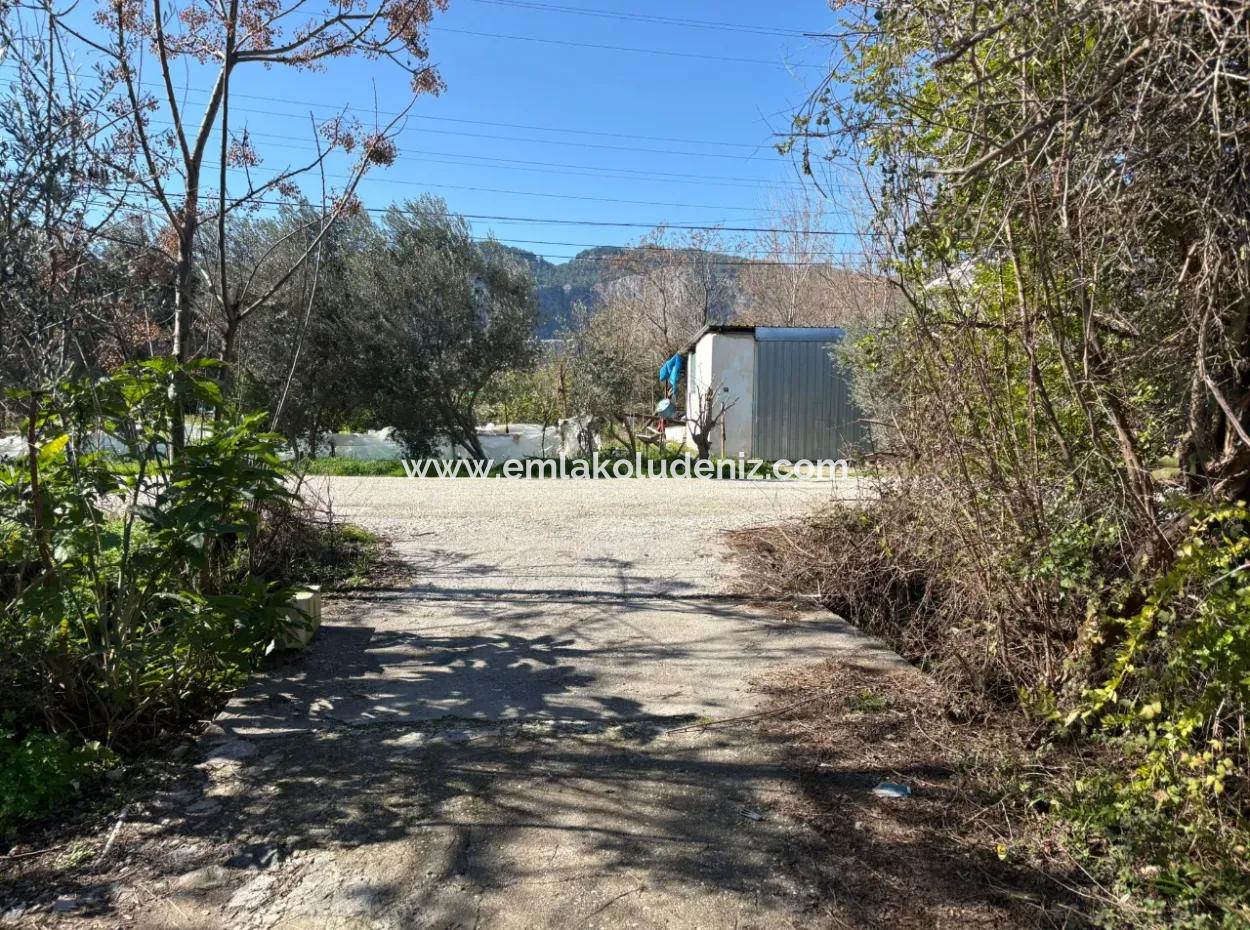 Ortaca Yeşilyurt'da 4064M2 İmarılı Satılık Arsa