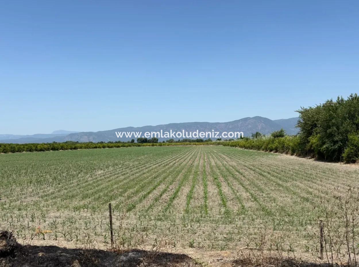 Tepearası'nda 46,550M2 Satılık Tarla