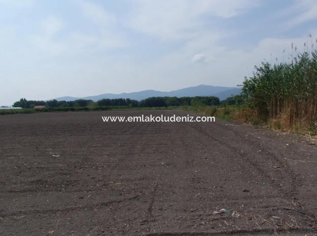 Eskiköyde Satılık Arsa Tarla Ortaca Dalyan Eskiköyde 15,760M2 Satlık Arsa Tarla