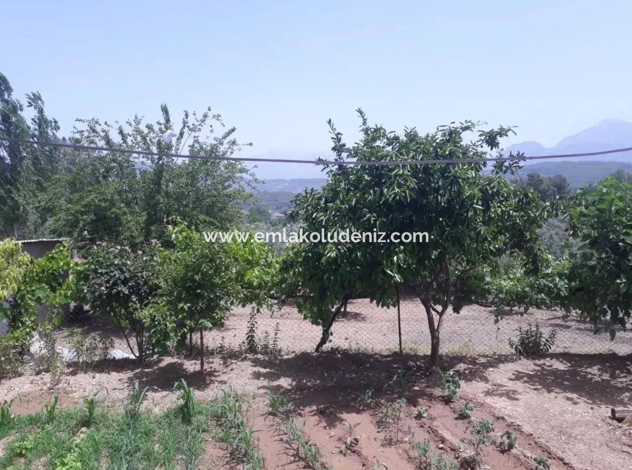 Seydikemer Satılık Müstakil Ev 2211M2 Arsa İcinde 6+2 Satılık Ev