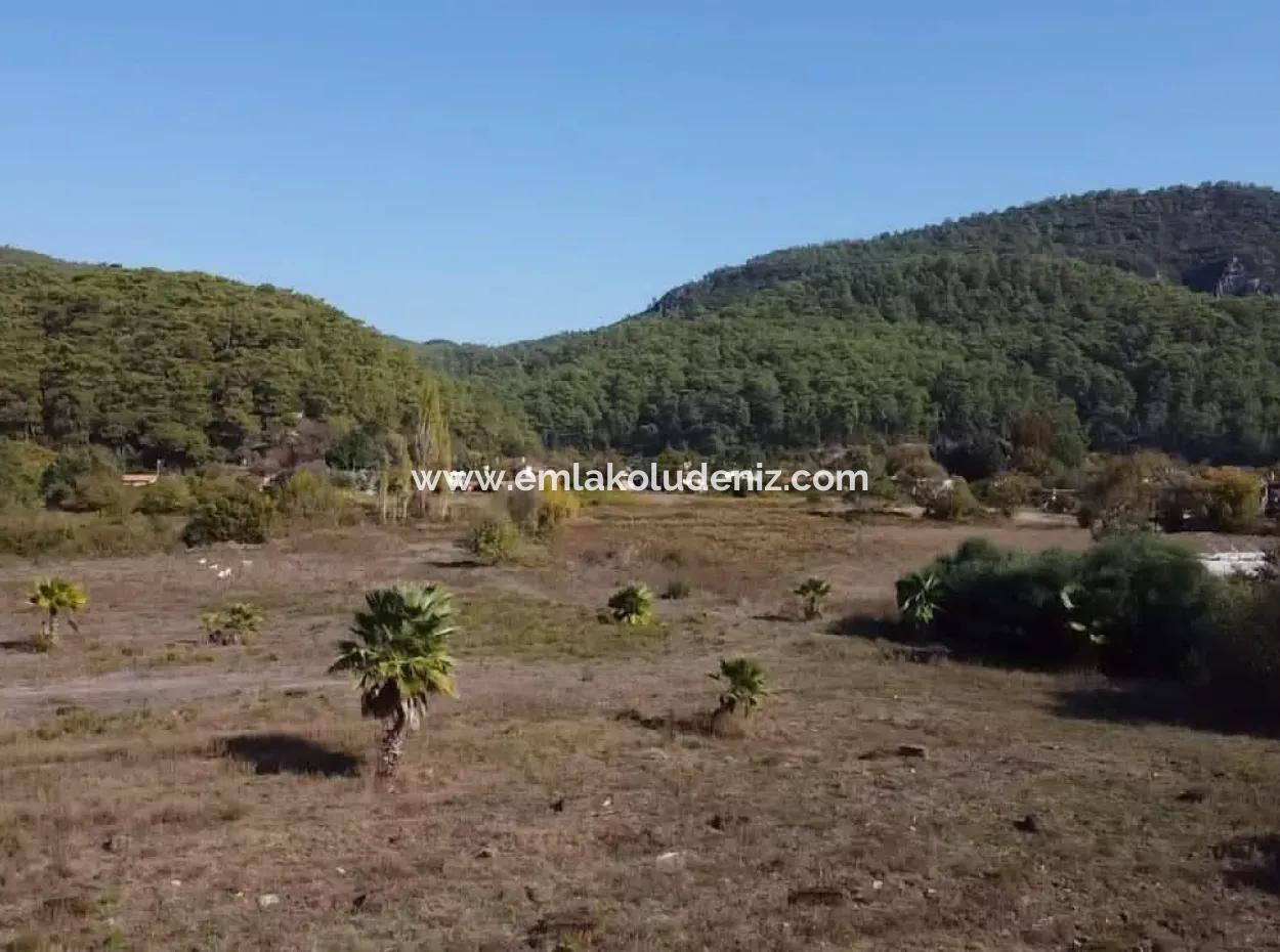 Çamlıda Satılık Arsa Arazi Marmaris Çamlıda Deniz Manzaralı 11720M2 Satılık Arsa