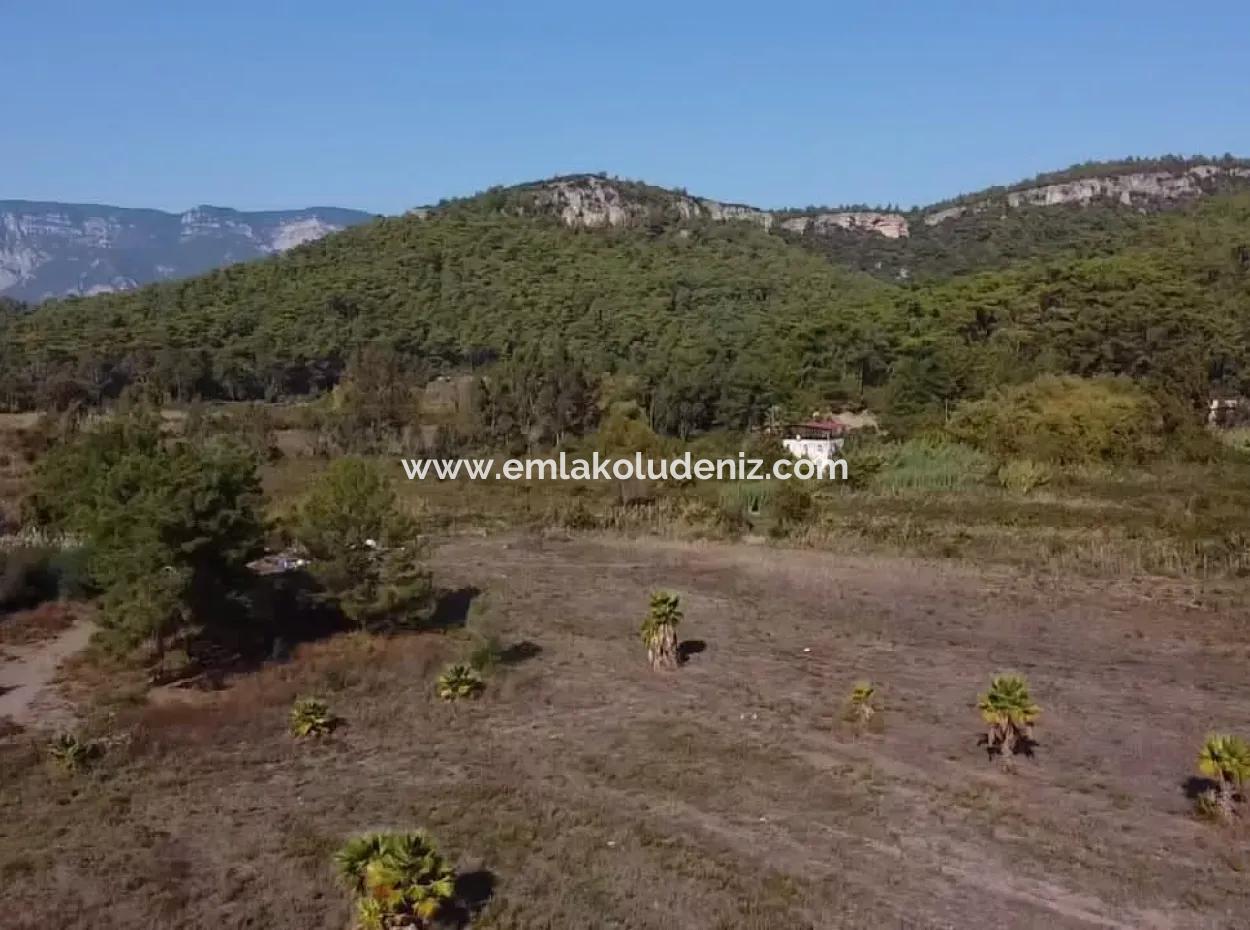Çamlıda Satılık Arsa Arazi Marmaris Çamlıda Deniz Manzaralı 11720M2 Satılık Arsa