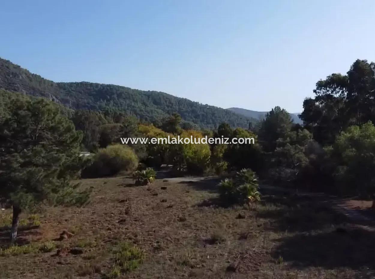 Çamlıda Satılık Arsa Arazi Marmaris Çamlıda Deniz Manzaralı 11720M2 Satılık Arsa