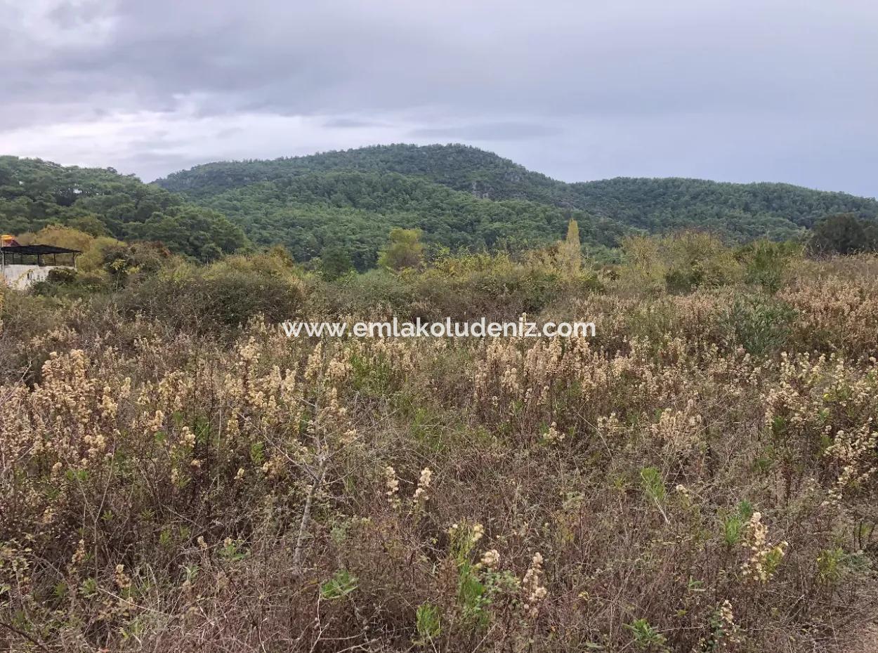 Çamlı Kanala Sıfır Satılık Arazi Arsa Çamlıda Deniz Manzaralı 28768M2 Satılık Arsa