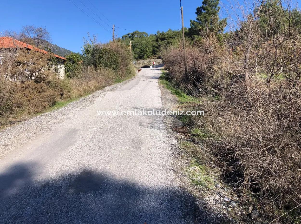 Gökbel Satılık Arsa Full Deniz Manzaralı 8000M2 Satılık Arsa